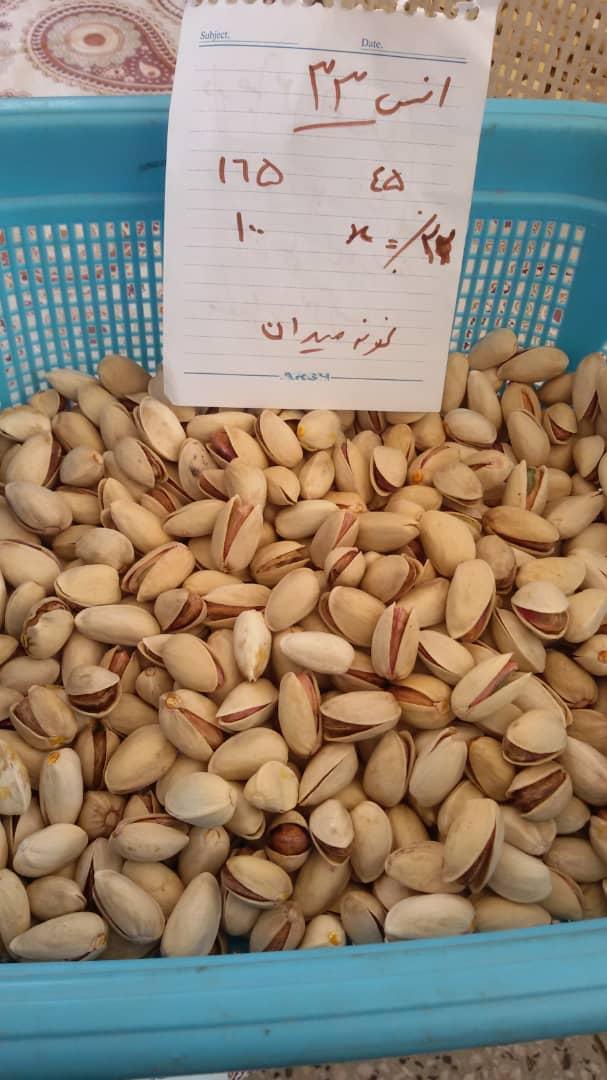 Iranian Pistachios on Tree