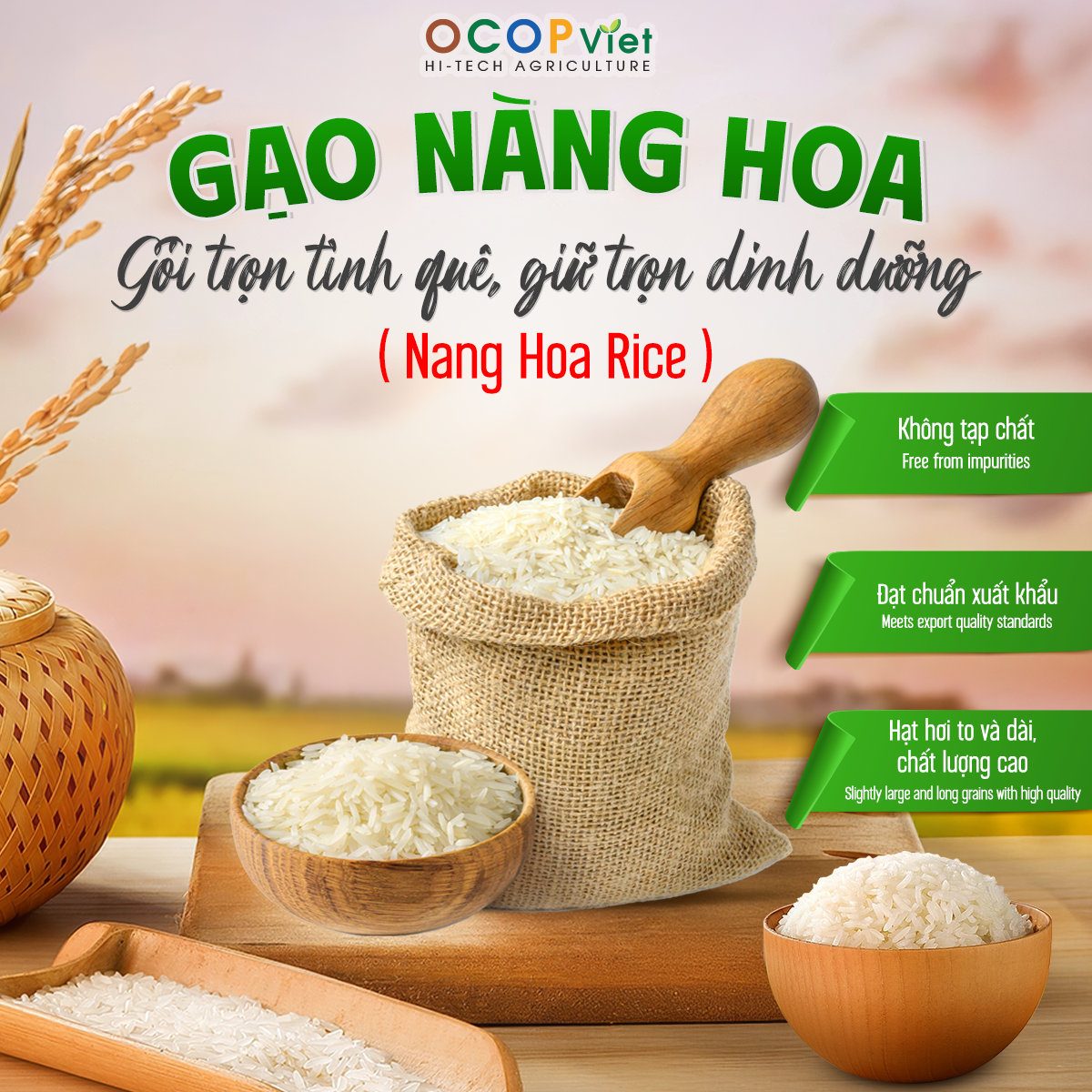 Top Verified Rice Suppliers in Vietnam: 5 Trusted Sources Reviewed