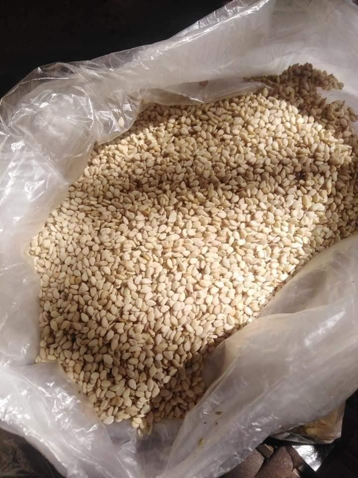 Sesame Seeds Close-up
