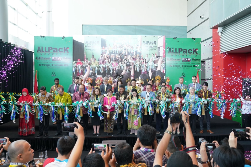 Inside All Pack Indonesia: B2B Key Insights - 1