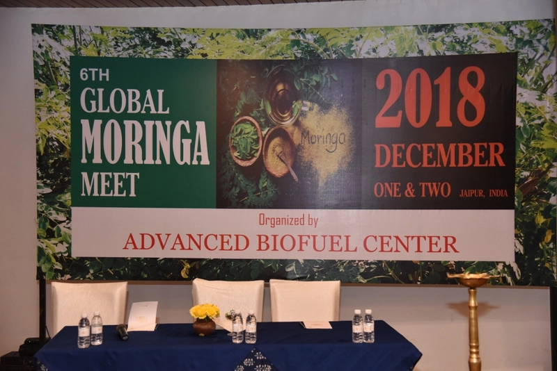Global Moringa Meeting Spotlight: B2B Essentials - 2