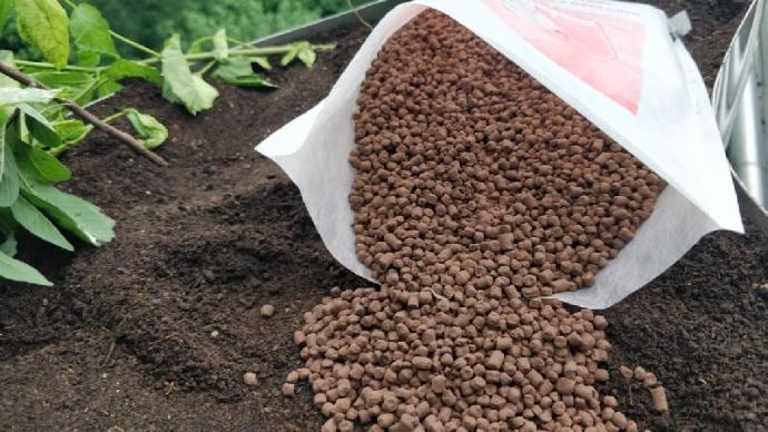 Cow Dung Manure Product