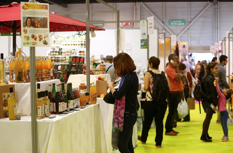 Inside ARTEMISIA Marseille: B2B Key Insights - 2