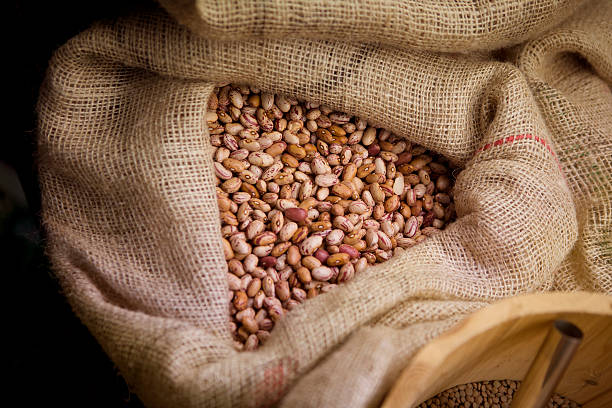 A Comprehensive Guide to Sourcing High-Quality Beans: Top 4 Beans Suppliers in Canada in Quarter 3 of 2025