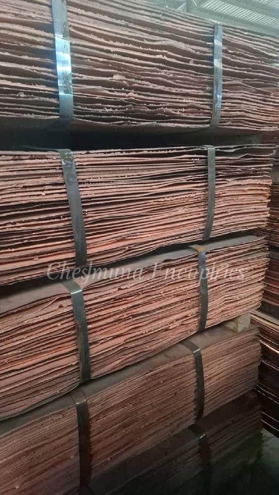 Copper Cathode