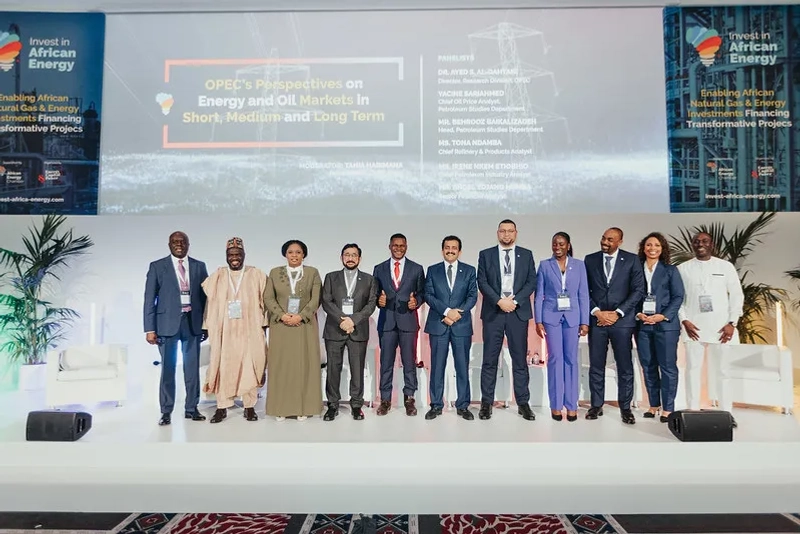 Invest in African Energy Revealed: B2B Opportunity - 1