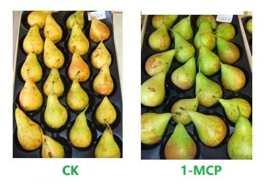 1-MCP Product Image 1