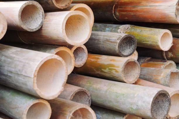 Top 10 Bamboo Suppliers in China in Quarter 3 of 2025: A Data-Driven Guide