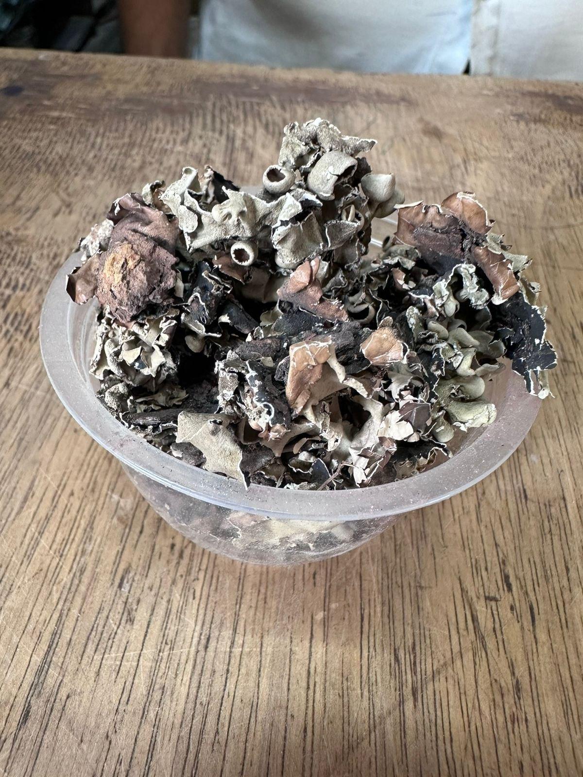 Stone flower Further Treatment Blasting, Engraving, Grinding, Laser Engraving, Painting, Polishing