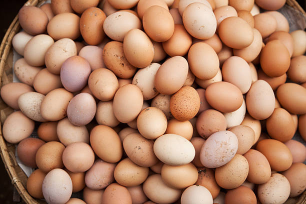Top 6 Chicken Eggs Suppliers in Vietnam in September 2025: Urgent Market Update