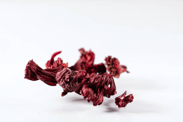 Your Expert Guide to Procuring Top-Tier Hibiscus: Top 8 Hibiscus Suppliers in United States in Quarter 3 of 2025