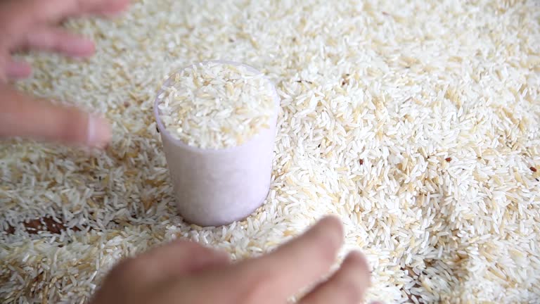 A Comprehensive Guide to Sourcing High-Quality Jasmine Rice: Top 5 Jasmine Rice Suppliers in Spain in Quarter 3 of 2025