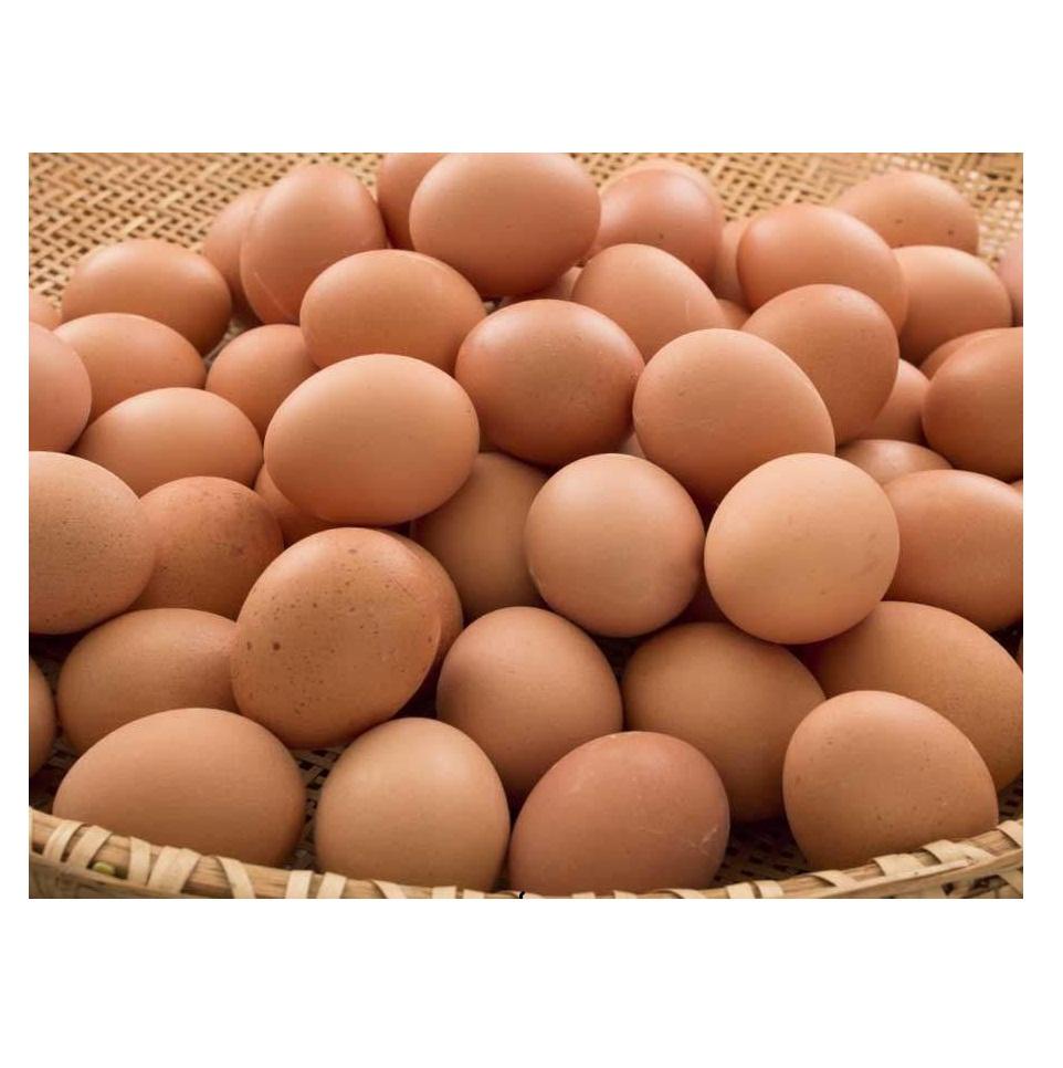 Fresh Chicken Eggs Shape Oval Yolk Texture Firm Shell Texture Smooth Albumen Texture Firm Weight 45g–70g Per Egg Type Fresh Chicken Eggs
