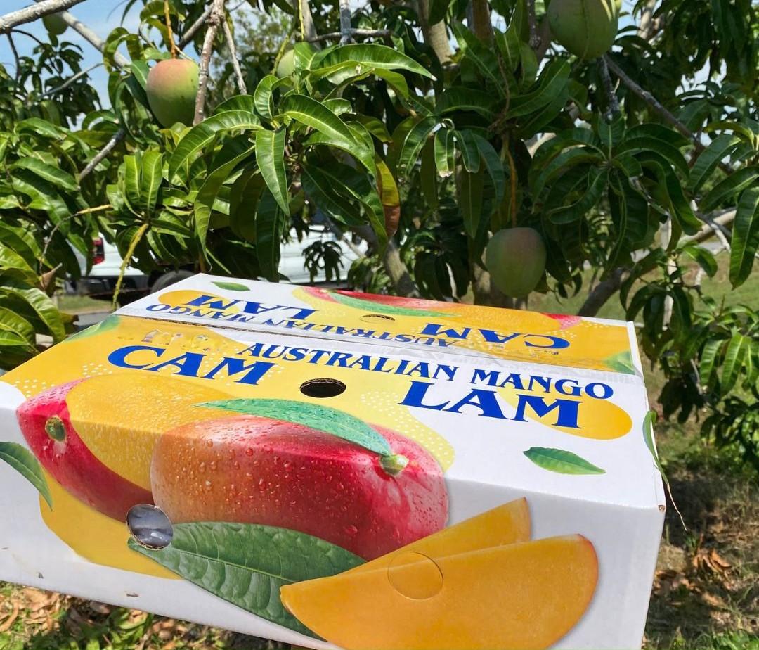 Top 7 verified Mango suppliers in Vietnam for global buyers - 6