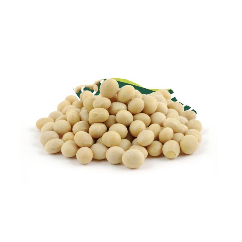 Meet the Top 4 Soybean suppliers in Germany - 3