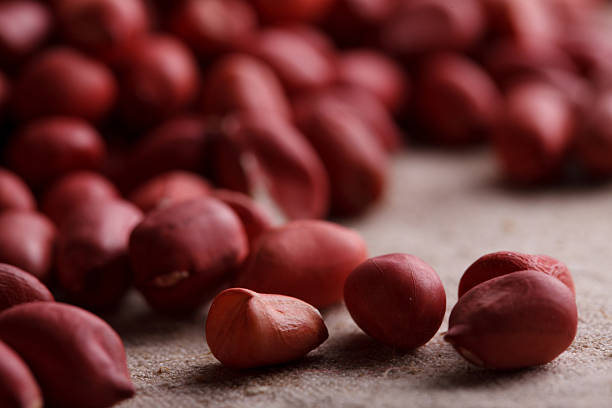 Top 10 Peanuts Suppliers in India in August 2025