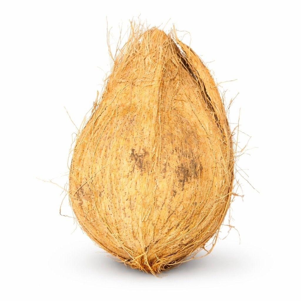 Discover the Top 3 Coconut Suppliers in Indonesia