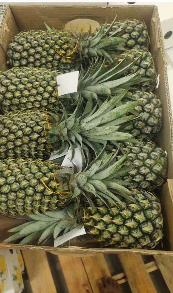Fresh Pineapple 2
