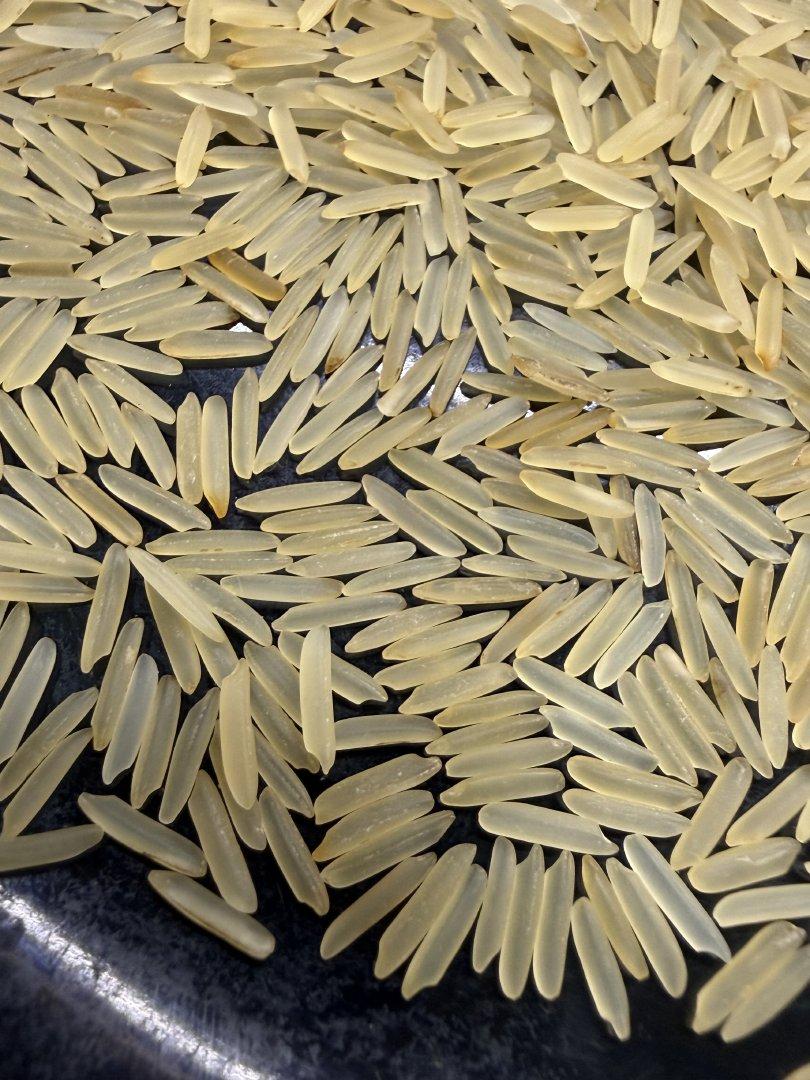 1121 Golden Rice