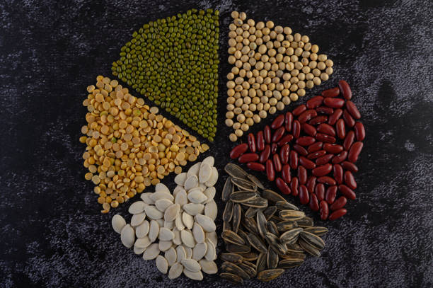 Top 6 Seed Suppliers in Indonesia in July 2025: Market Trends, Export Leaders & Smart Buying Insights