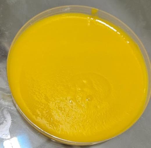 Mango Chaunsa Puree Weight (kg) 210 Shelf Life 24 months Port Karachi, Pakistan Processing Type Aseptic Place of Origin Pakistan