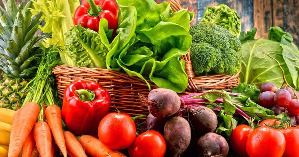 Freshdi’s Global Vegetables Market Report Q2/2025 – Unlocking Growth at the Crossroads (P1)