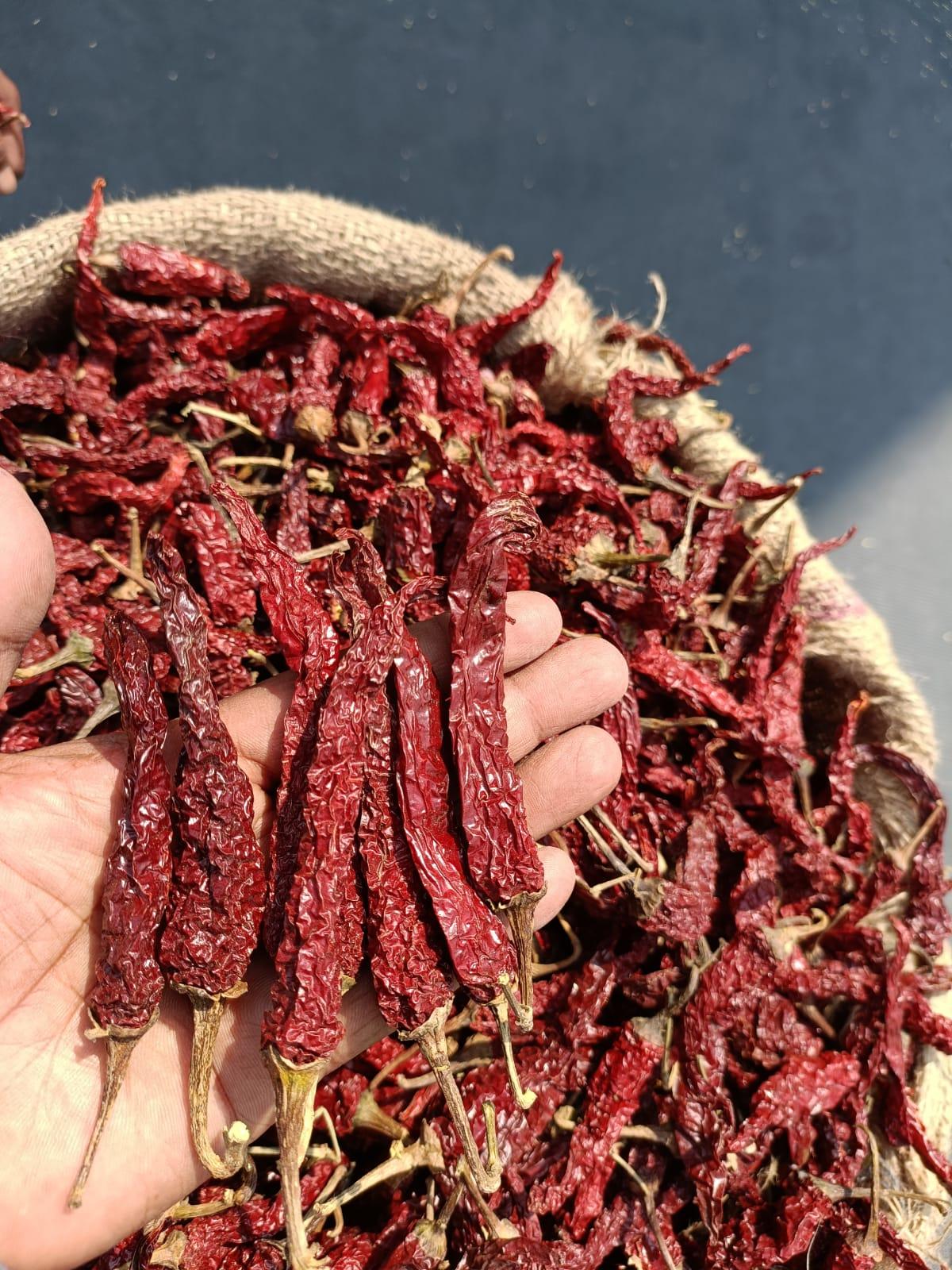 Flora Spices Dry Red Chillies