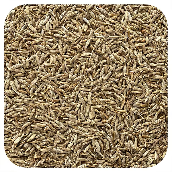 Cumin Seeds (Jeera)