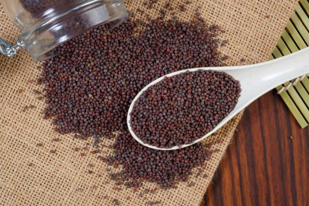 Bulk Mustard Seeds Exporter | Refined Quality Yellow and Black Mustard Seeds for Edible Oil, Spice Processing, Sauces, Condiments, and Industrial Food Applications with Competitive Global Pricing