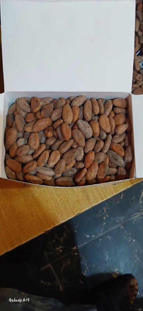 Cocoa Beans