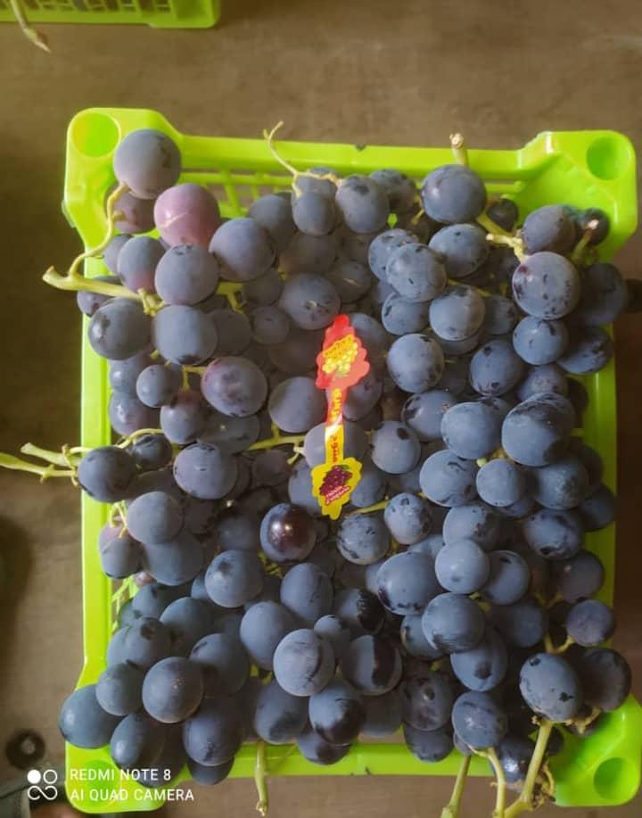 Grapes