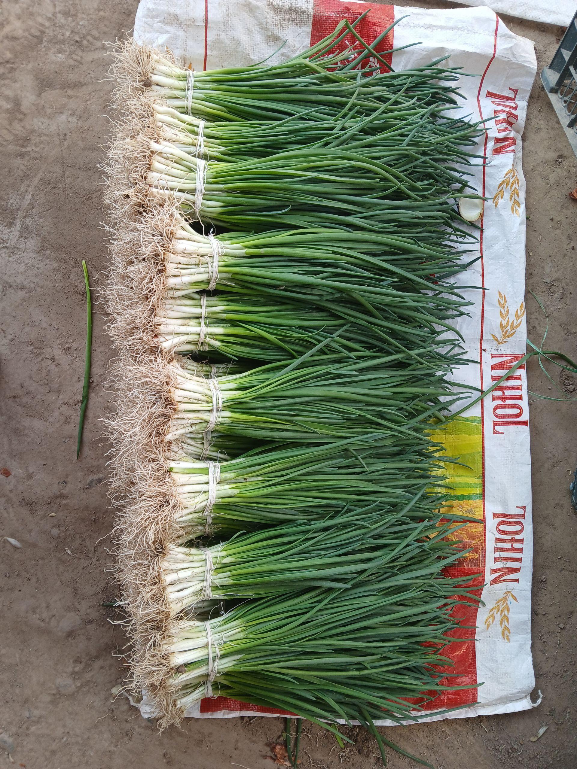 Green Vegetables