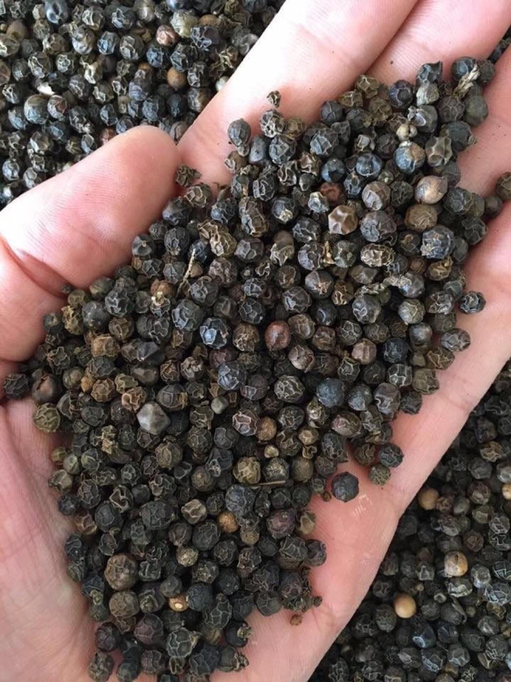 Top 3 Black Pepper suppliers in Kenya for Serious Buyers