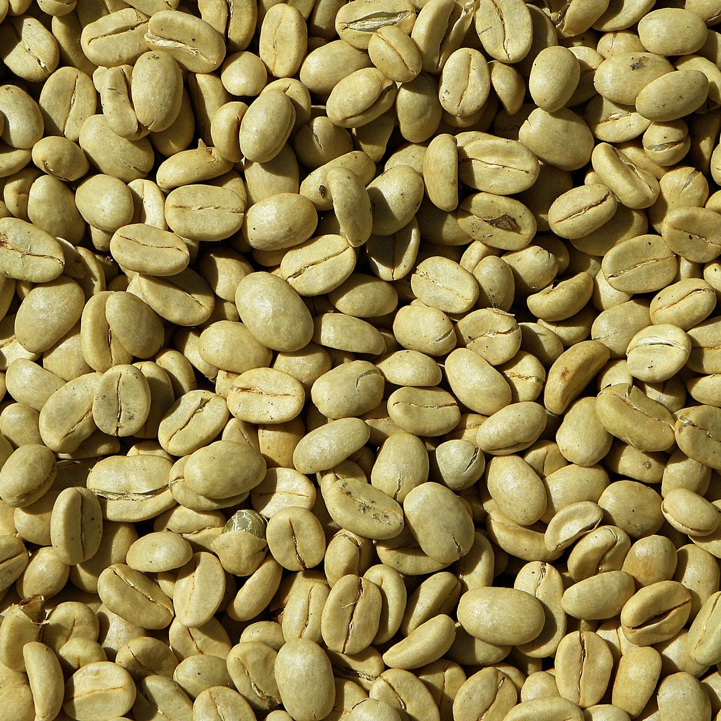 Meet the Top 3 Green Coffee suppliers in Poland - 2