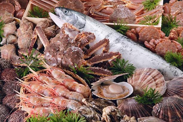 A Comprehensive Guide to Sourcing High-Quality Seafood: Top 8 Seafood Suppliers in Germany in Week 11 of 2025