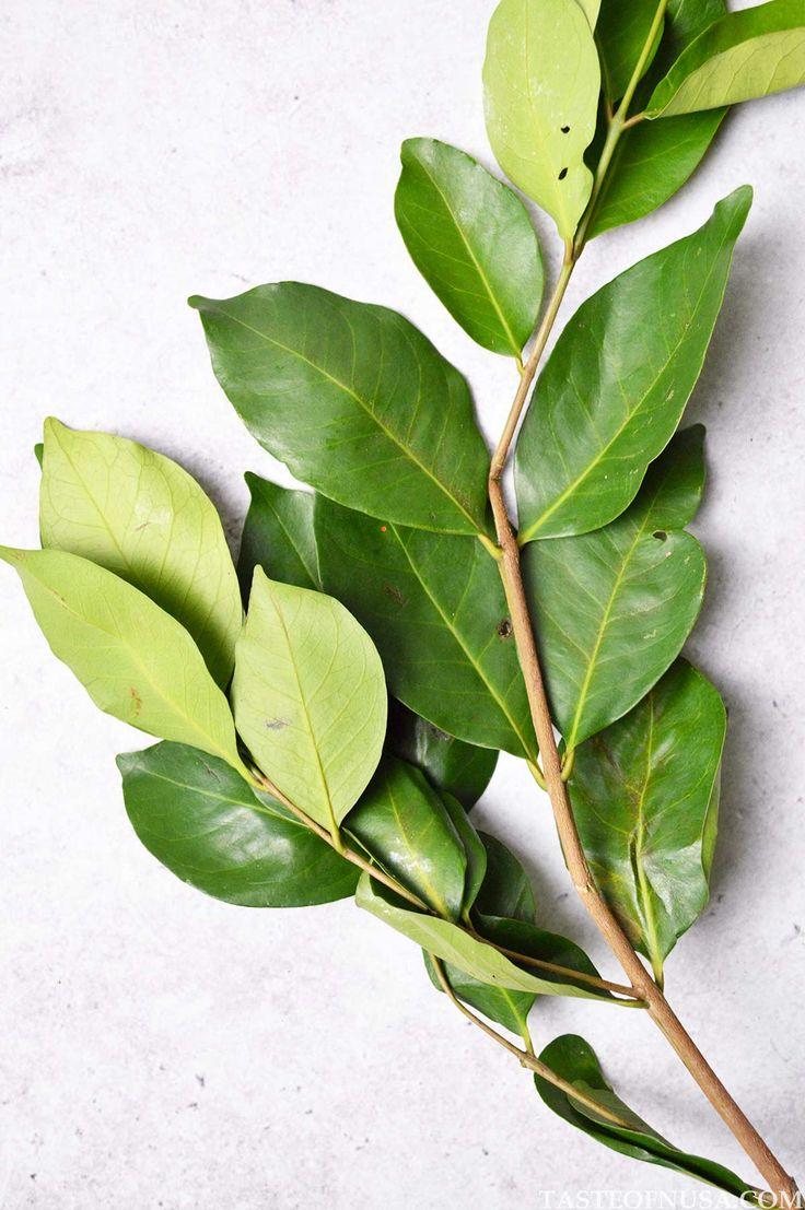 Dried Bay Leaves