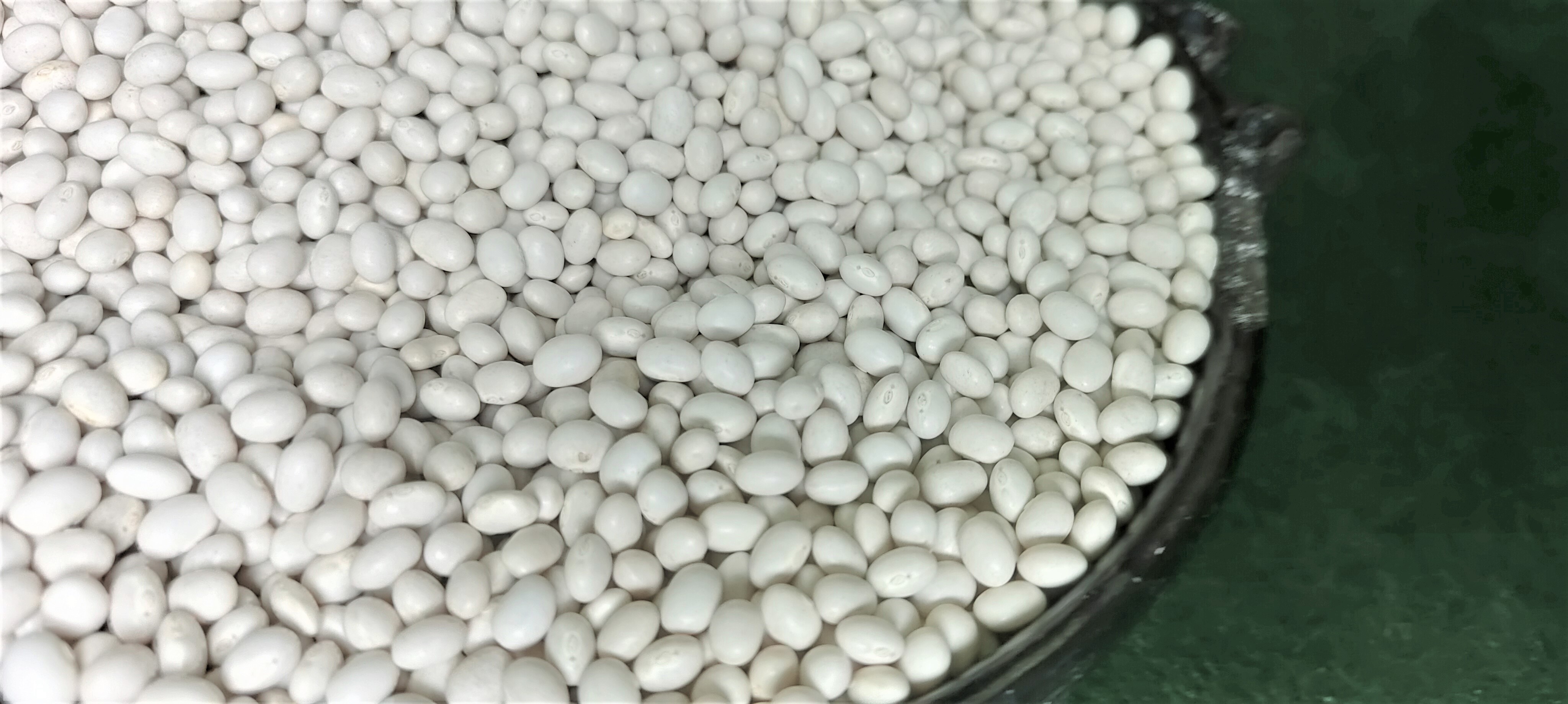 Ethiopian Origin New Crop 2024 White Pea Beans Wholesale Dried Handpicked and Polished Bulk Quality Kidney beans.