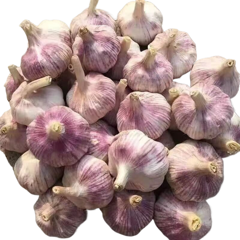 79b29ae29dda412f82179b3c8efadedb