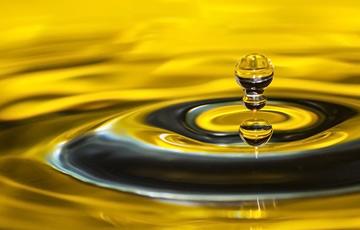 Sunflower Oil