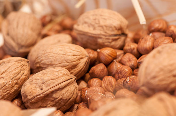 A Comprehensive Guide to Sourcing High-Quality Nut: Top 3 Nut Suppliers in Vietnam in Year 2025