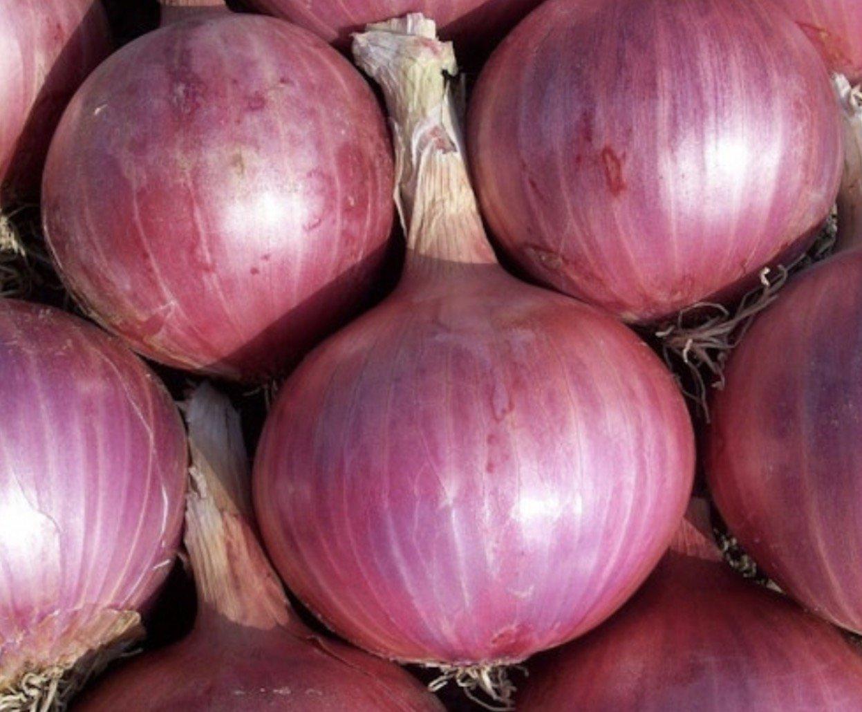King Red Onion