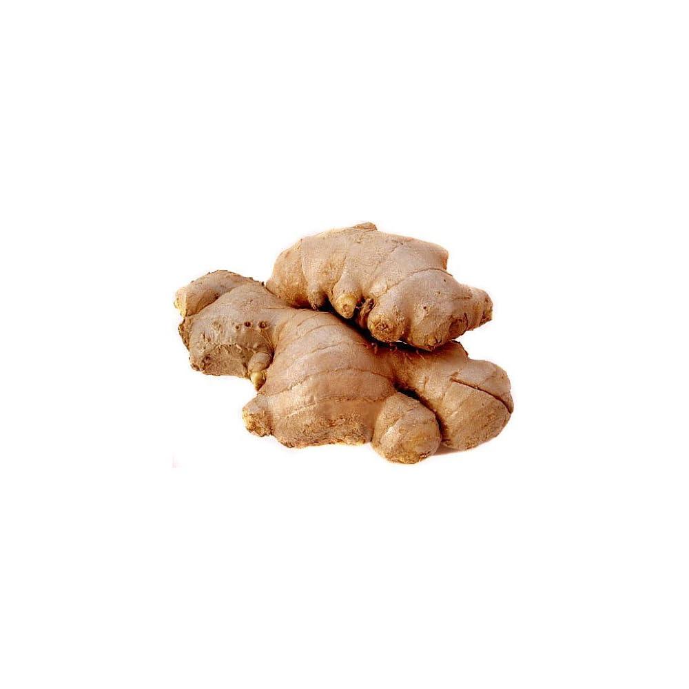 Get to Know the Top 4 Fresh Ginger Suppliers in South Africa - 5