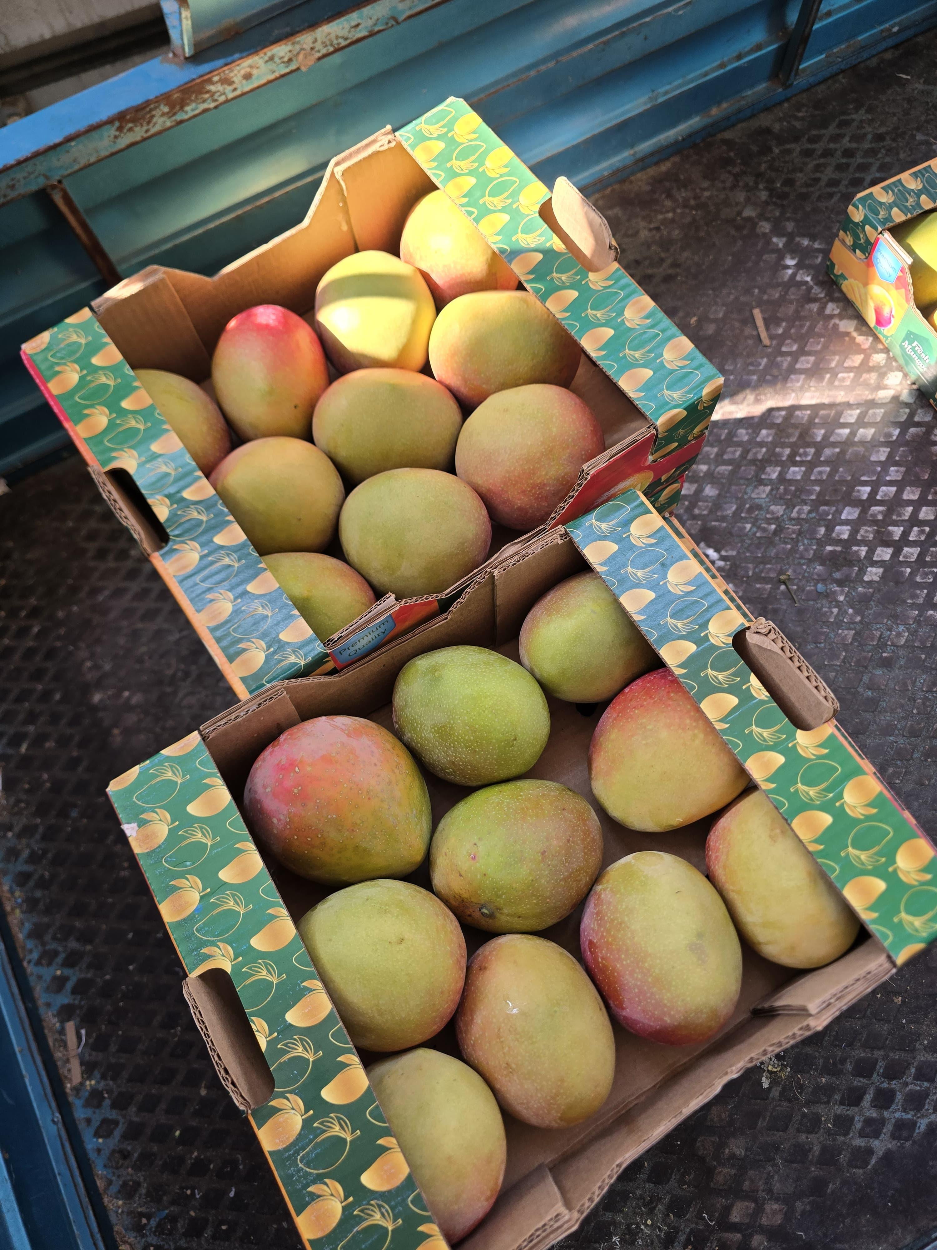 Premium Fresh Mangoes Export Ready Level 1
