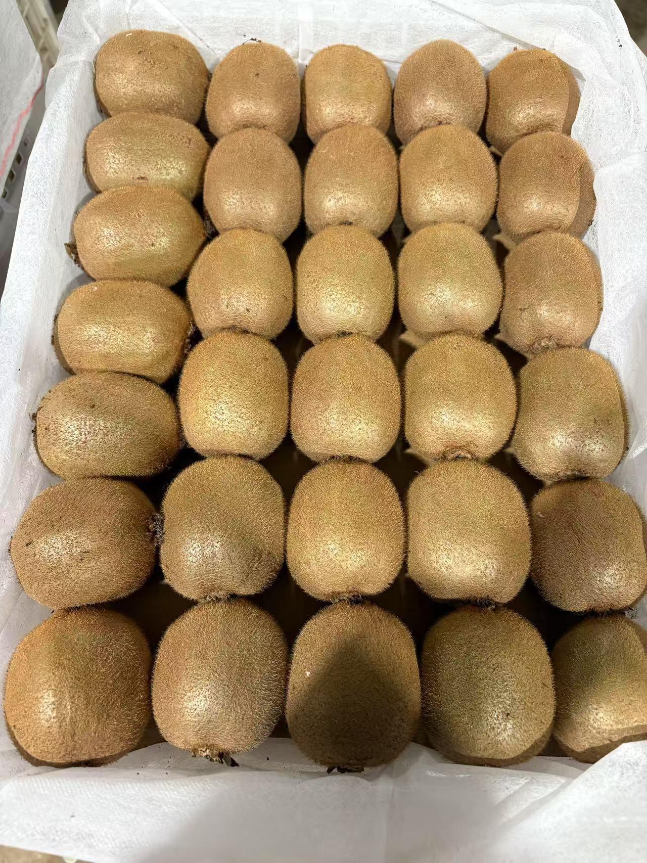 FRESH PREMIUM KIWIFRUIT FROM SOUTH AFRICA! CLASS 1 QUALITY! NEW CROPS EXCELLENT PACKING