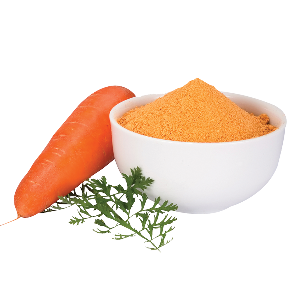 High Quality Wholesale Carrot Powder Supplier | Pure Dehydrated Carrot Powder Made from Fresh Selected Carrots, Ideal for Soups, Sauces, Bakery Products, Health Supplements, Baby Nutrition, and Instant Foods | Rich in Nutrients, Natural Flavor, Fine Texture, No Additives, Available in Bulk Packaging for Industrial and Food Service Use