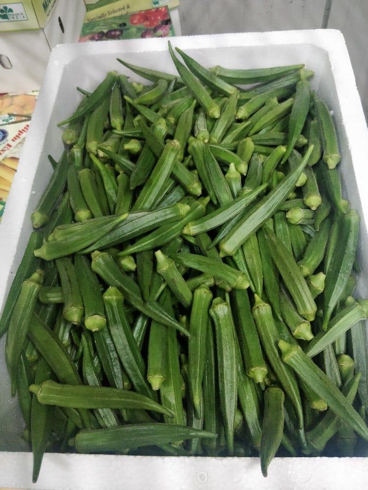 Premium Quality Fresh Okra