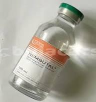 Buy High-quality Nembutal Pentobarbital Sodium Powder supplied by HISH 82 RESOURCES. Bulk wholesale pricing is $150 per Gram with a minimum order of 15 Gram. Inquiry for latest prices.