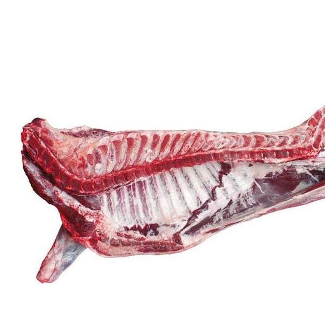 first class Halal Frozen Whole Beef Carcass Wholesale In Bulk