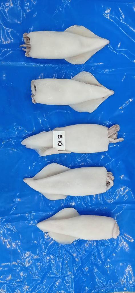 squid wings