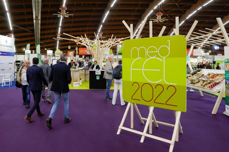 Why MEDFEL Matters for B2B - 2
